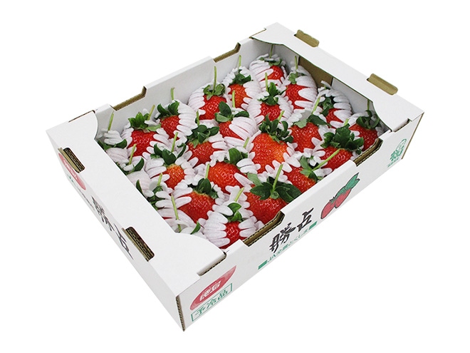 徳島県勝占産 =枝付き夢いちご= 約1.2-1.5kg（風袋込） 大きさおまかせ 予約 1月以降