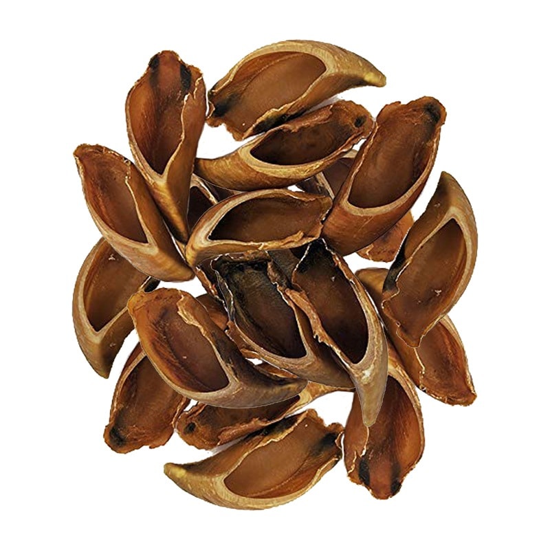 無添加 牛のひづめ スモーク 20個入り 犬のおやつ ヒヅメ 蹄 ひずめ ヒズメ