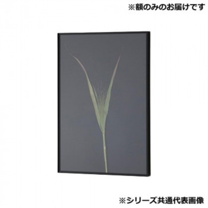 アルナ 額縁 シンプル ALUMIUM RIM マットブラック 大衣 16734