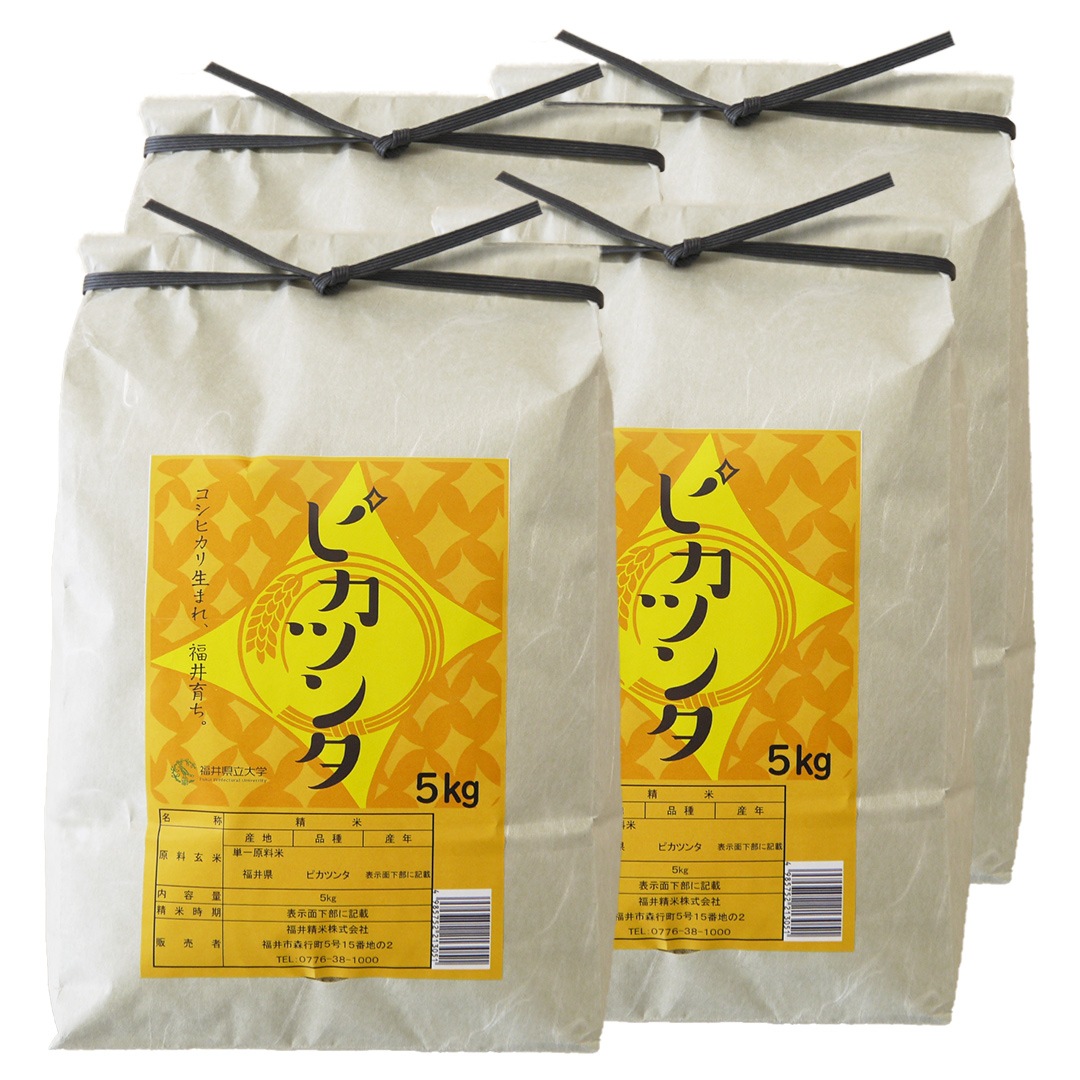 訳ありセール 格安） 新米 福井県産ピカツンタ 令和4年産 白米 20kg(5kg4袋) 米 - flaviogimenis.com.br