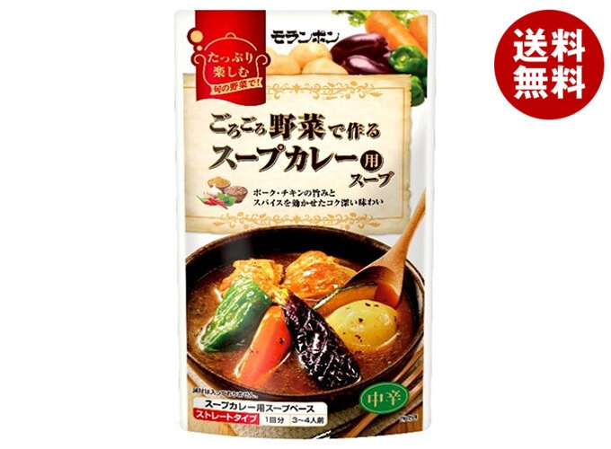モランボン ごろごろ野菜で作る スープカレー用スープ 750g＊10袋入＊(2ケース)