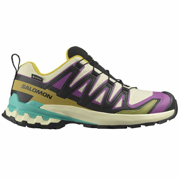 サロモン SALOMON XA PRO 3D V9 GORE-TEX W ハイキングシューズ レディース L47882200