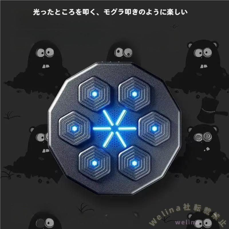 音楽ボクシングマシン スマートディスプレイ付き ライト付き壁掛け パンチング機器 子供大人 エクササイズ ターゲットで楽しく有酸素