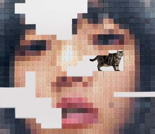 あいみょん 猫にジェラシー CD+2DVD+ツアーフォトブックレット 初回限定DVD盤 新品未開封