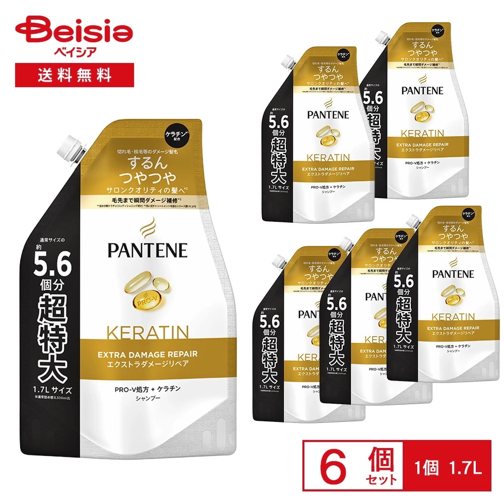 P&G パンテーン(PANTENE) エクストラダメージケア シャンプー つめかえ超特大 1.7L 6個セット 詰め替え 大容量 ダメージ 補修 ヘアケア 特大サイズ 詰替