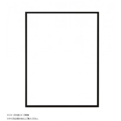 大額 OA額 ラインフレーム(5017) B3 ブラック