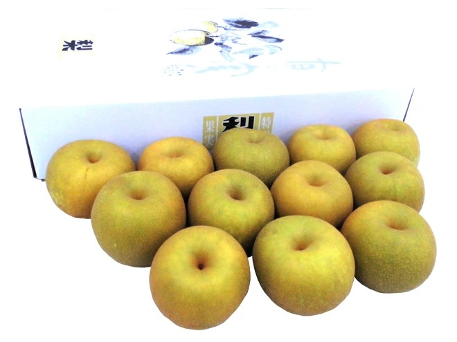 =石川県 金沢産 幸水梨= 秀品 10-14玉前後 約5kg 予約 8月末以降 5,621円