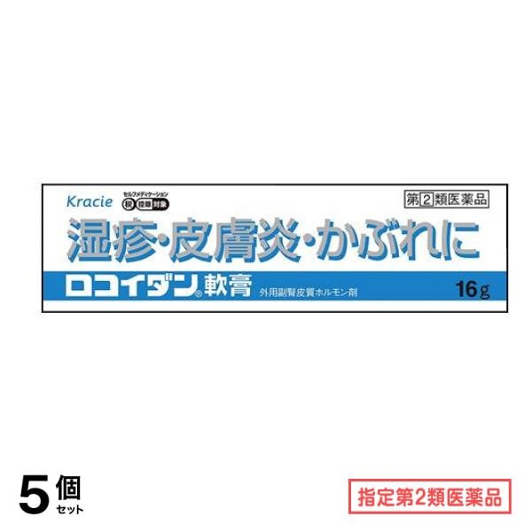 指定第２類医薬品 ロコイダン軟膏 16g 5個セット