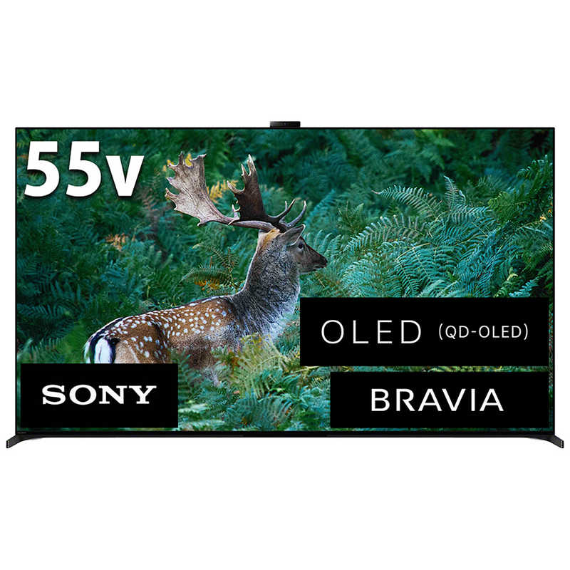 ソニー　SONY　有機ELテレビ BRAVIA ブラビア A95Lシリーズ [ 55V型 / 4Kチューナー内蔵 / YouTube 対応 ]　XRJ-55A95L（標準設置無料）