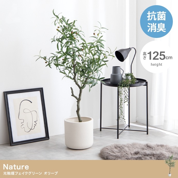 観葉植物 フェイクグリーン 光触媒 高さ125cmタイプ