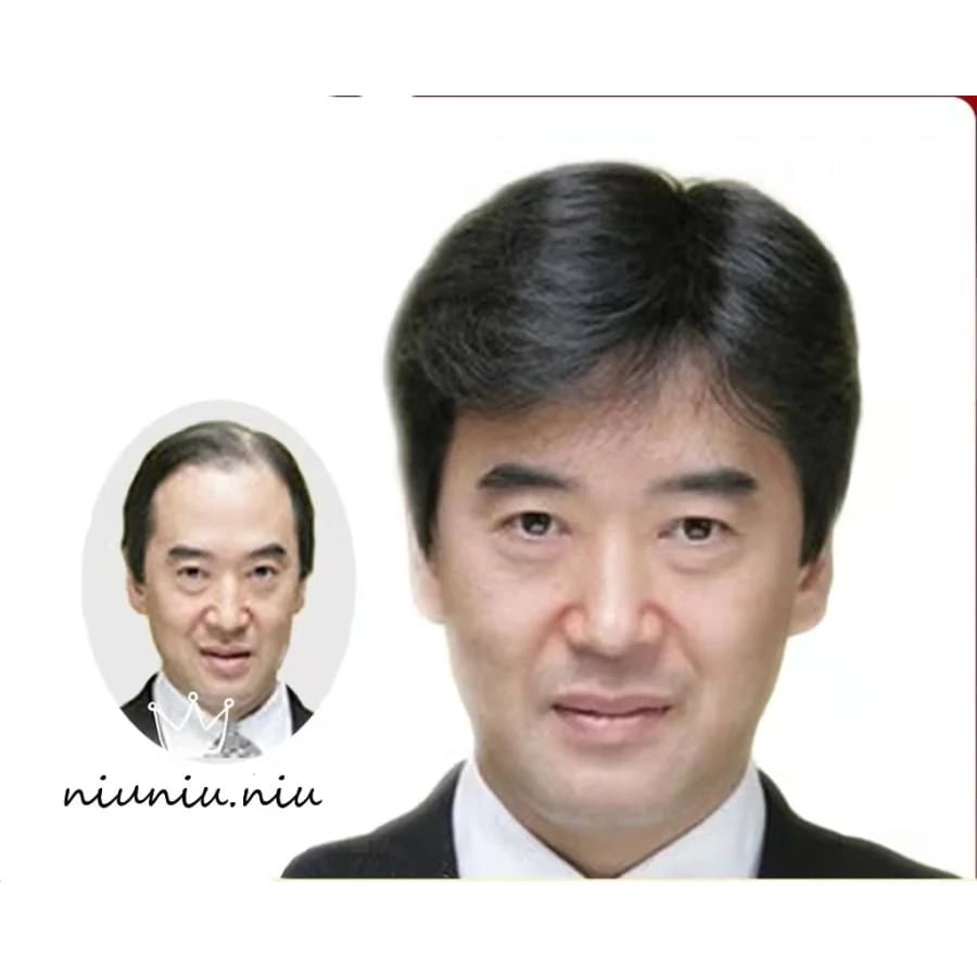 [新年割引]ウィッグ メンズ 男性 つけ毛 カツラ 爽やか ショート 黒髪 ダークブラウン フルウィッグ 白髪隠し 薄毛 増毛 父の日 紳士 ミディショート プレゼント