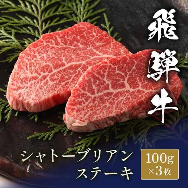 飛騨牛 ステーキ シャトーブリアン 100g x 3枚 / 牛肉 ギフト