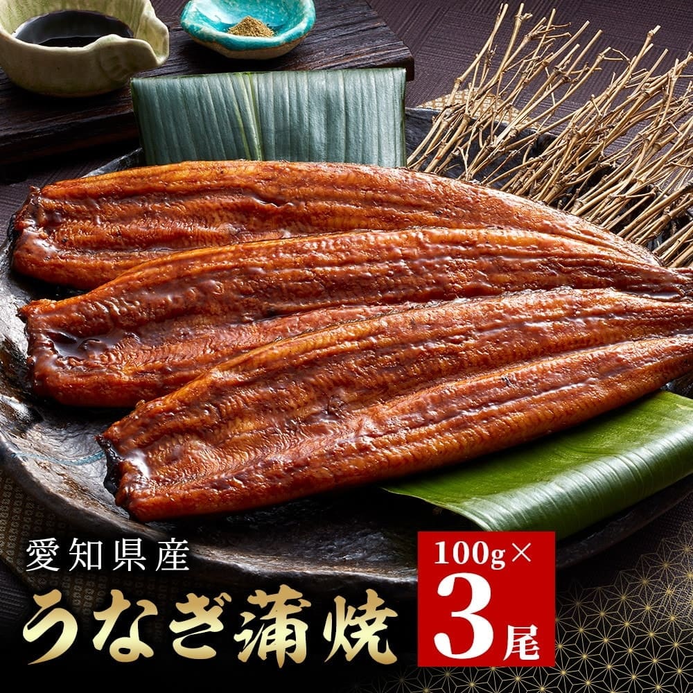 愛知県産うなぎ蒲焼 約100g×3尾入 タレ・山椒付鰻 うなぎ 魚 蒲焼き