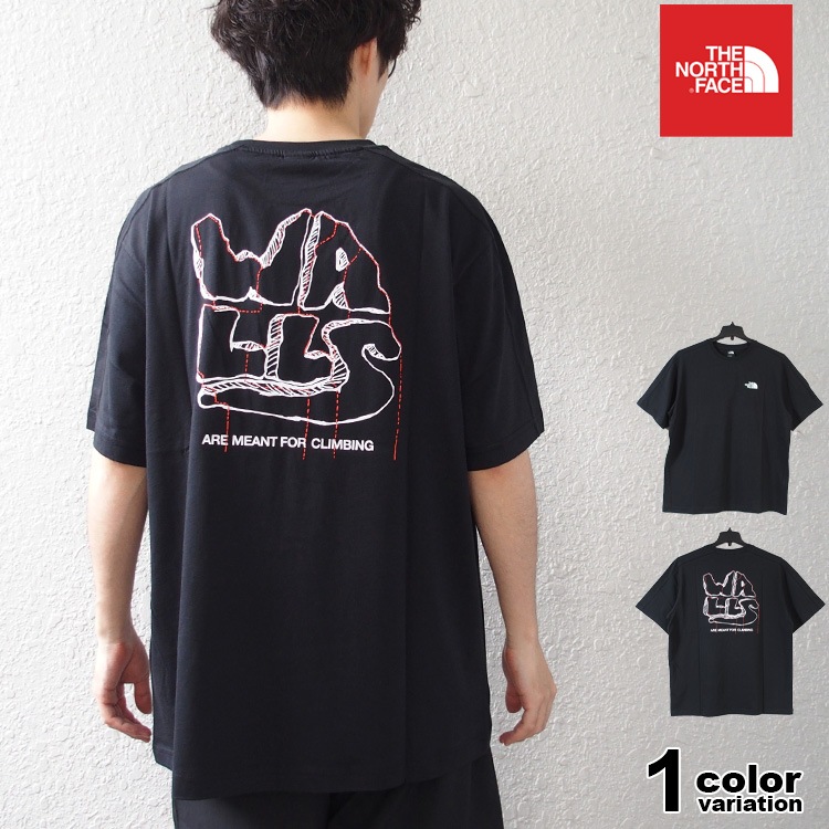 Tシャツ 半袖 メンズ トップス バックプリント ロゴ EUライン nf0a880s