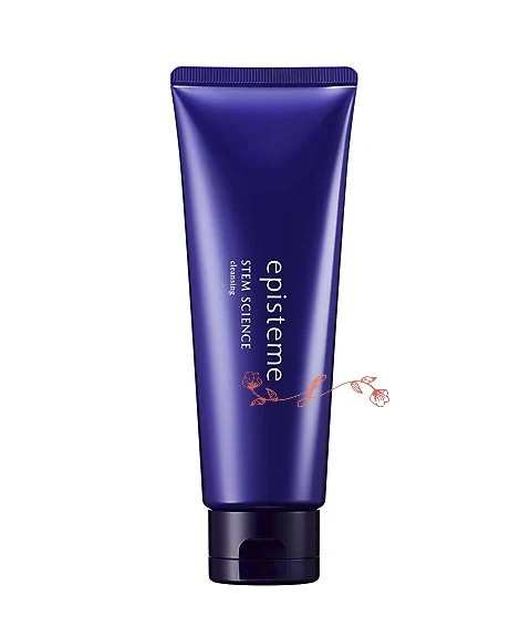 epis　teme ステムサイエンスクレンジングａ　110g／クレンジング　正規品　2024年4月1日　全国発売