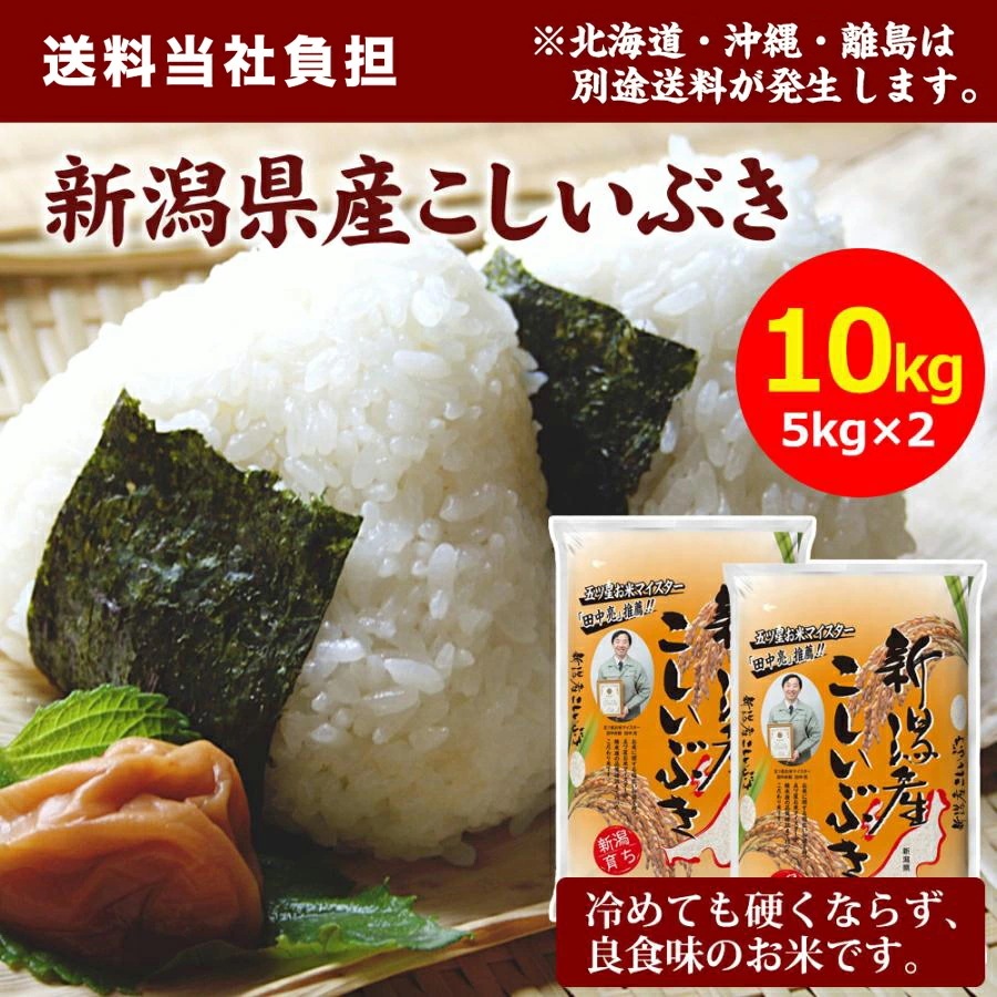 新潟産 こしいぶき 10kg（5kgx2袋） 米 精米 こしいぶき