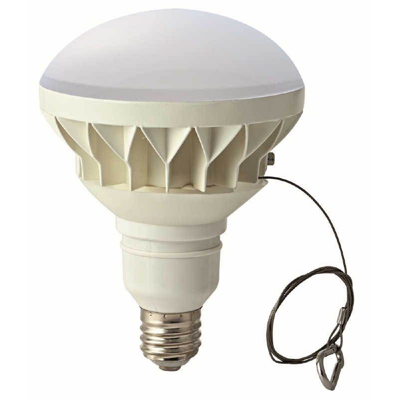 東京メタル　水銀灯300W相当 屋外用LEDランプ ［E39 / ビームランプ形 / 昼白色 / 1個］　LDR30NE39-TM