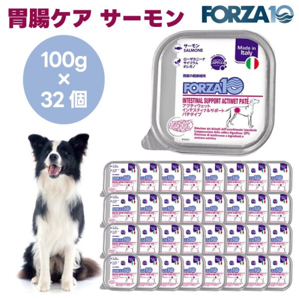Forza10 アクティウェット インテスティナルサポート 胃腸ケア サーモン パテタイプ 100gx32個 ドッグフード 犬 餌 療養食 フォルツァ10