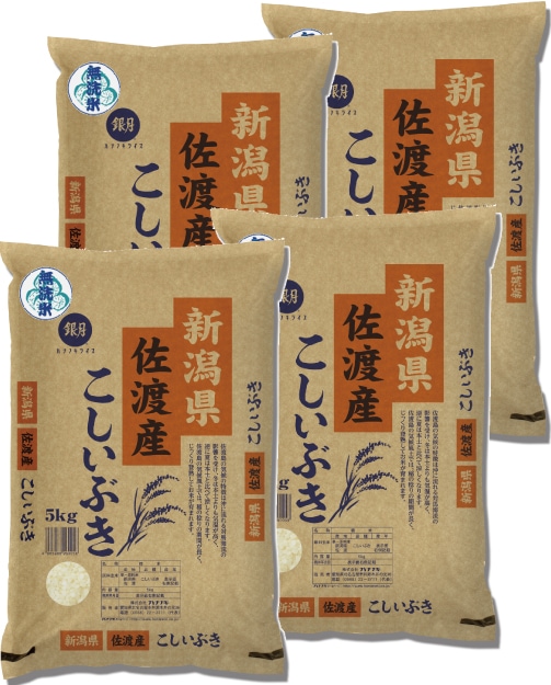 期間限定　無洗米 新潟県 佐渡産こしいぶき 20kg(5kg×4袋) 令和7年産