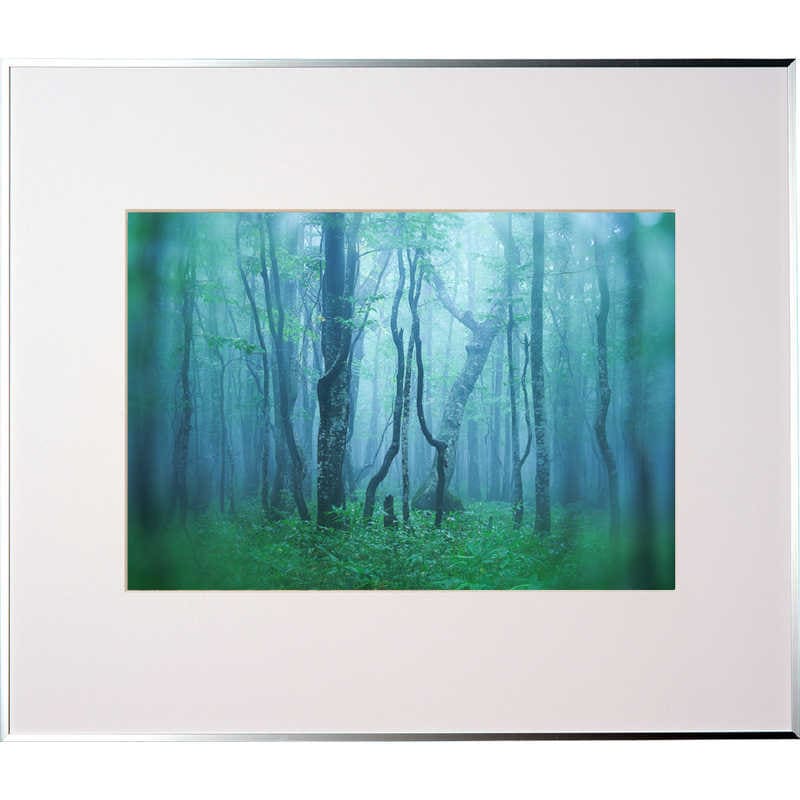 ケンコー　ギャラリー A3 シルバー　AGY-A3-SV