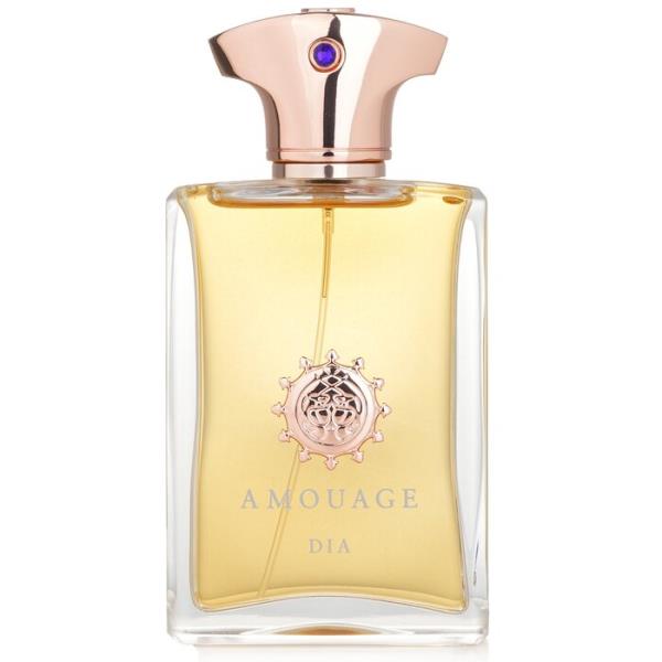 dia man eau de parfum spray 100ml