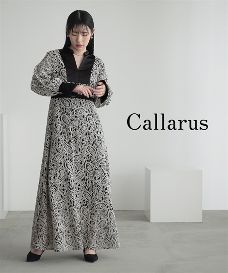 ドレス 結婚式・パーティー・オケージョンドレス 起毛総レースデザインワンピースドレス 大きいサイズ有 Callarus