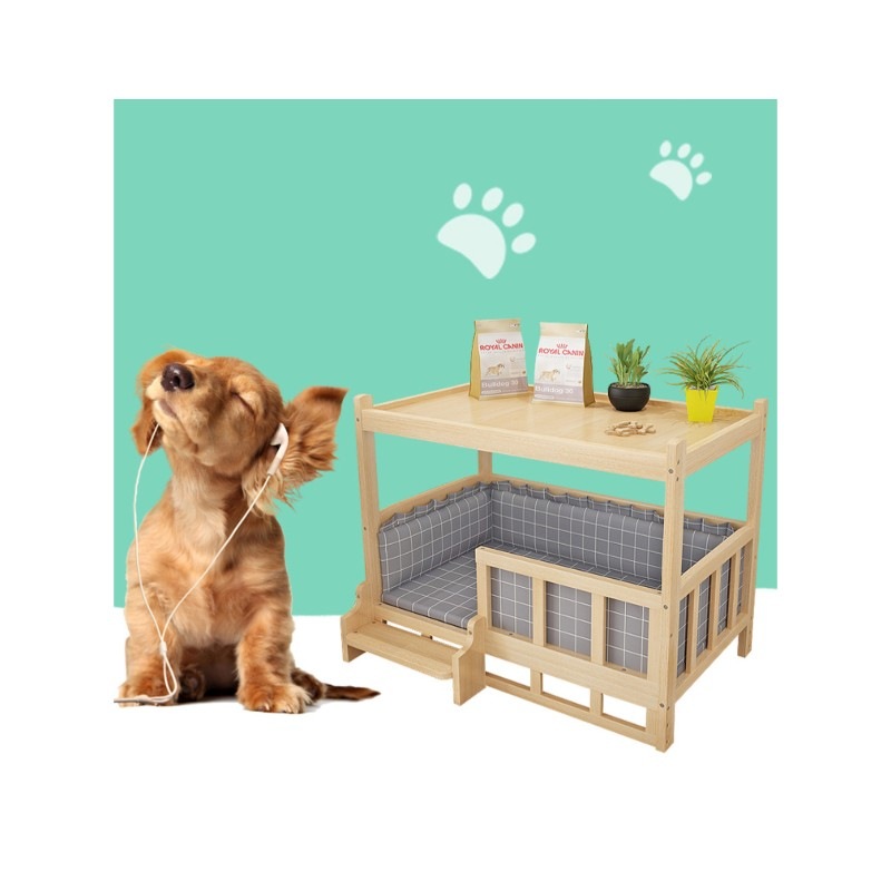 テディ犬の巣