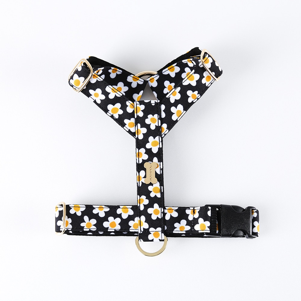Daisy H Harness Black/Orange