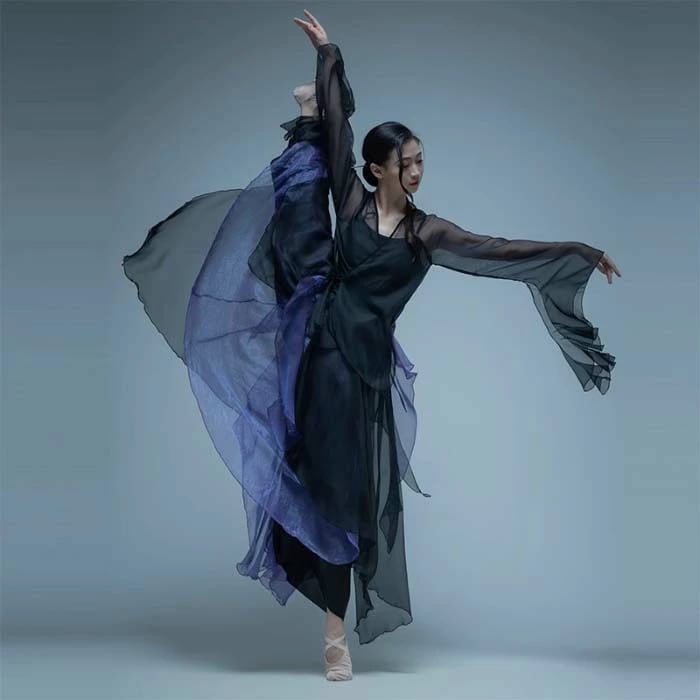 古典ダンス衣装 セットアップ 古典舞踊ウェア ダンス 飄逸 チャイナ民族ダンス 演目ダンス衣裳 長袖ブラウス 重ねスカートパンツ レディース ダンスウェア ダンス レッスン着 練習着 古典ダンス バレ