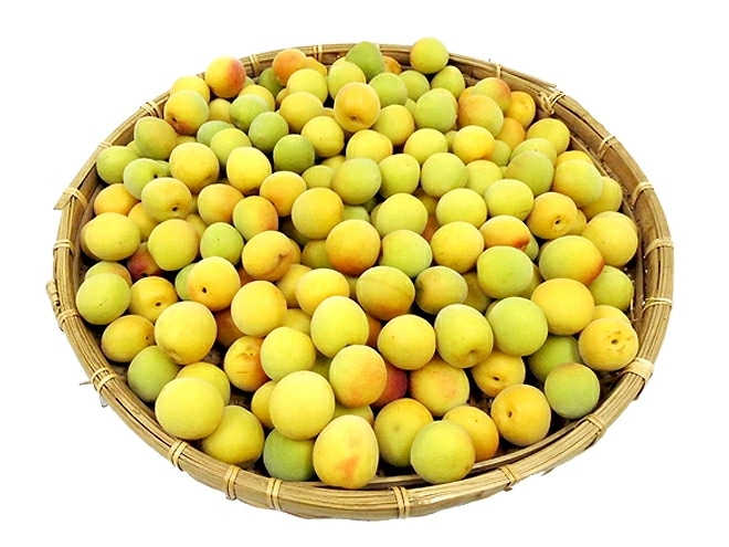 =紀州/和歌山産 南高梅 完熟= 秀品 2L-3L 約5kg 予約 6月以降