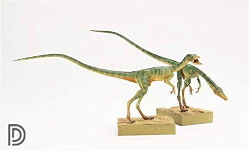 Dino Dream 1/5 サイズ 2点セット オスのコンプソグナトゥス 美顎龍 ジュラ紀 小型 肉食 恐竜 ジュラシック リアル フィギュア PVC モデル 模型 プレゼント 15cm級 台座付き
