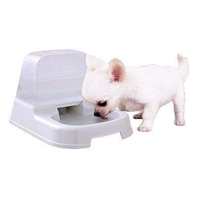 他サイト： アイリスオーヤマ(IRIS OHYAMA) ペット用自動給水器 ホワイト J-200の商品画像