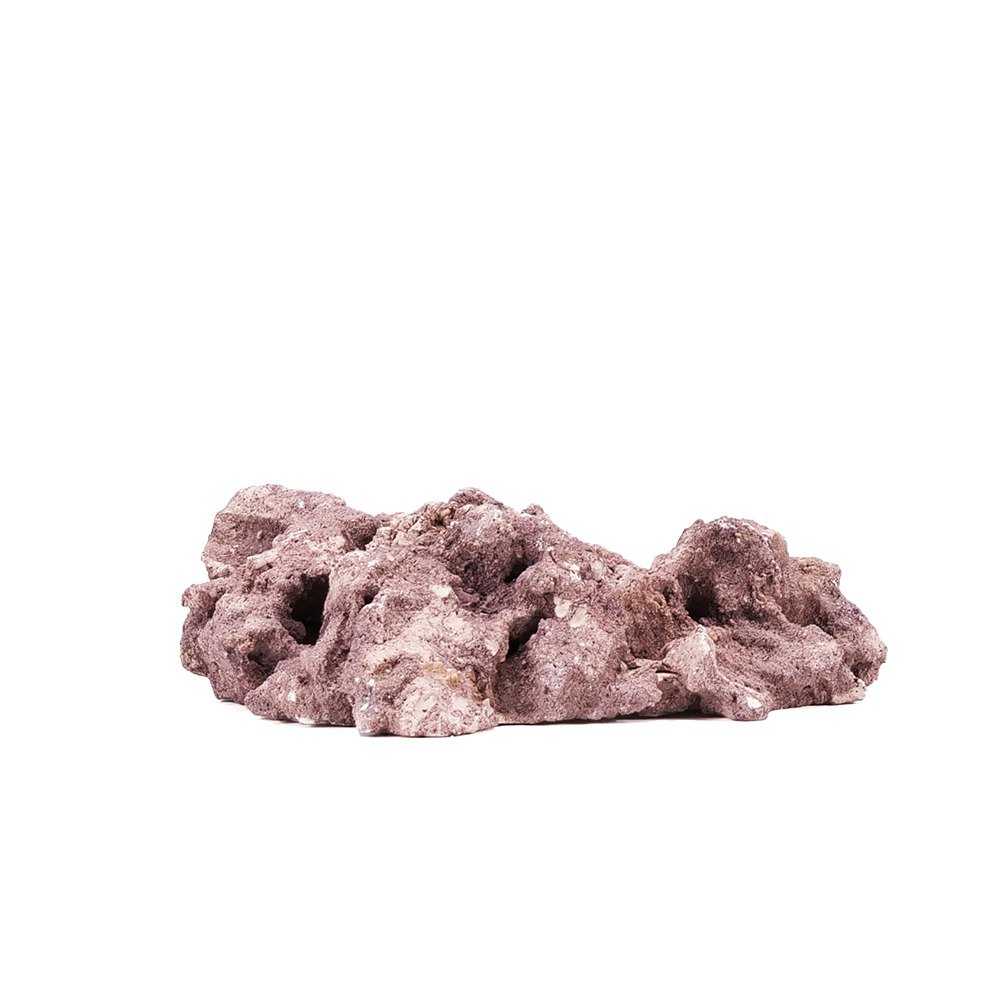 マルコロック　ファウンデーション　コーラインレッド　Ｓサイズ　１個　ＣＲＣ21―20―90―00―00