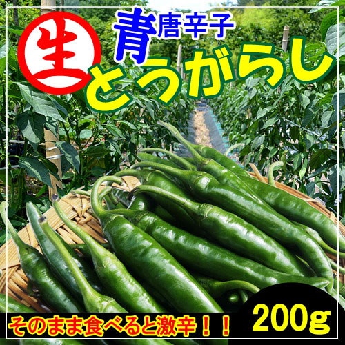 Qoo10] クール便 激辛 青唐辛子/チョンヤンコチ