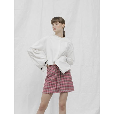 非売品 ソニー アルファ 特製 図鑑 アルバム （日本語版） 【公式通販】