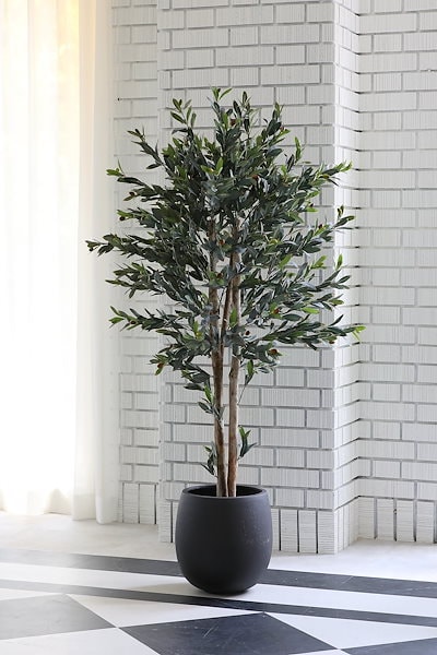 openyy ROSE PARACHUTE PANTS KHAKI サイズ S 【公式通販】