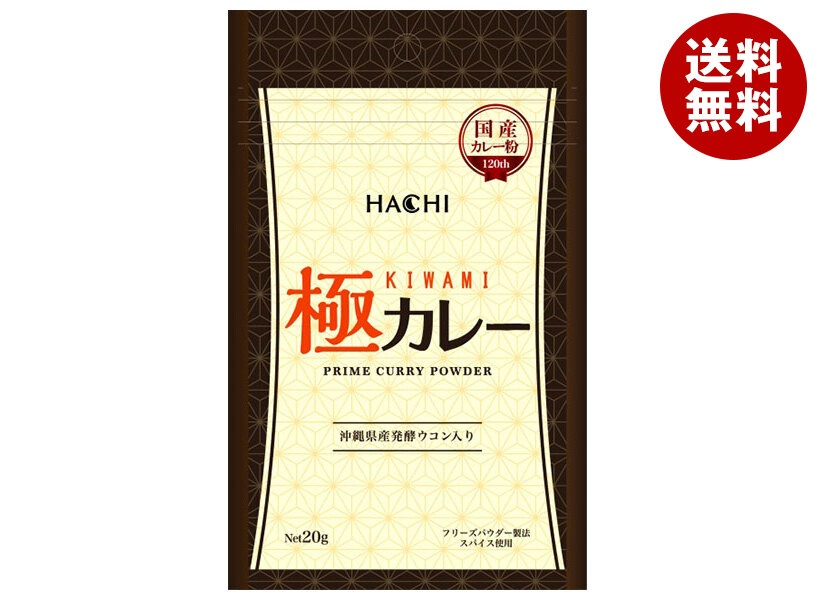 ハチ食品 極カレー 20g＊30袋入＊(2ケース)