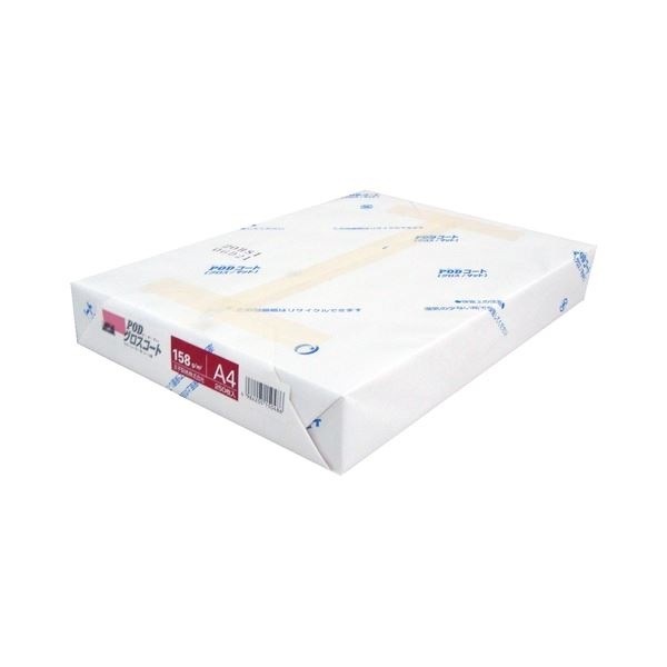 DYNDSTER TEAM SPEED ダイナスター ミドルスキー ジュニア 120