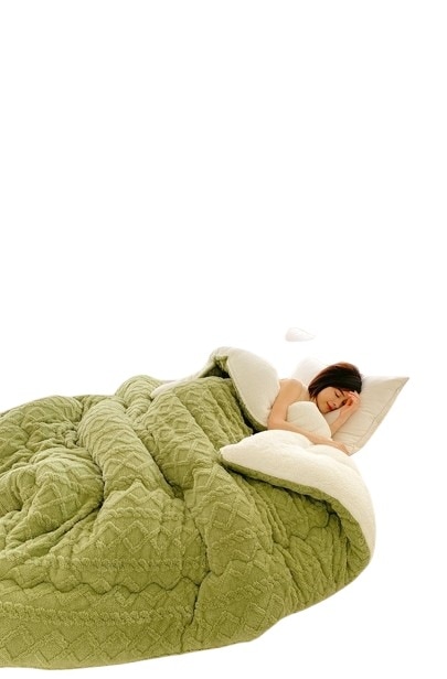 厚く暖かいタフタ冬のキルトラムウールキルトシングルダブル学生寮ミルクベルベットキルトコア 4,641円