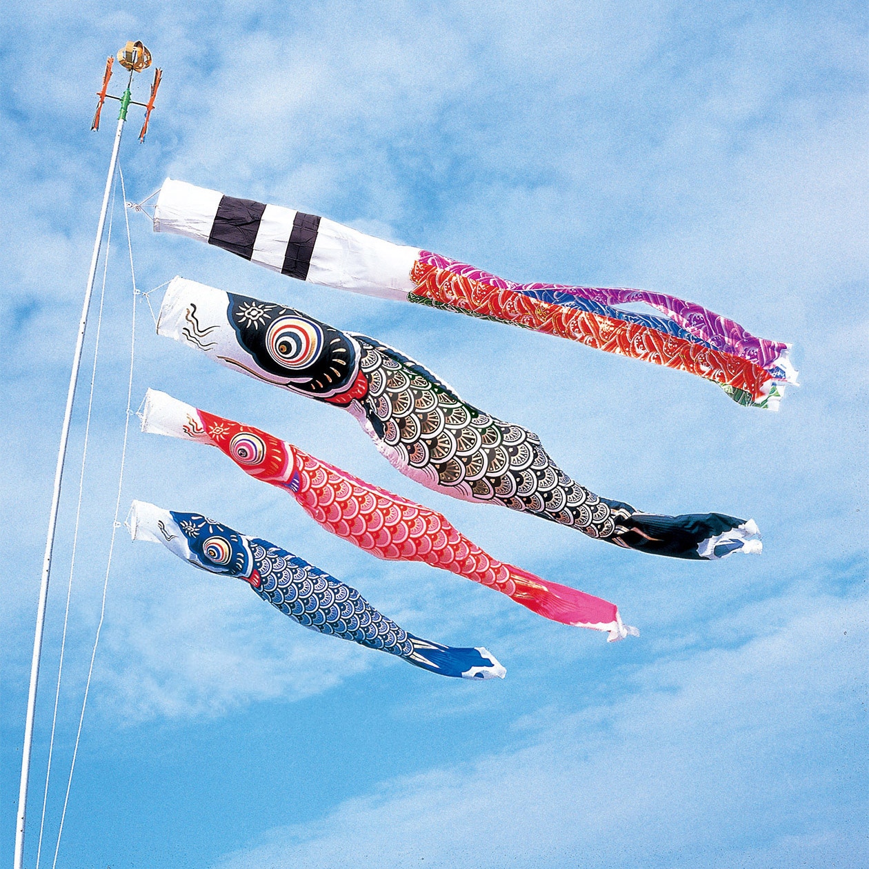 五月 鯉のぼり こいのぼり 庭用 送料無料 スパークル ポール付 フルセット 選べる 3m 4m 家紋 名前 染め 新作 秀光 限定品 特選 目玉商品 買得 人気 ランキング 734304