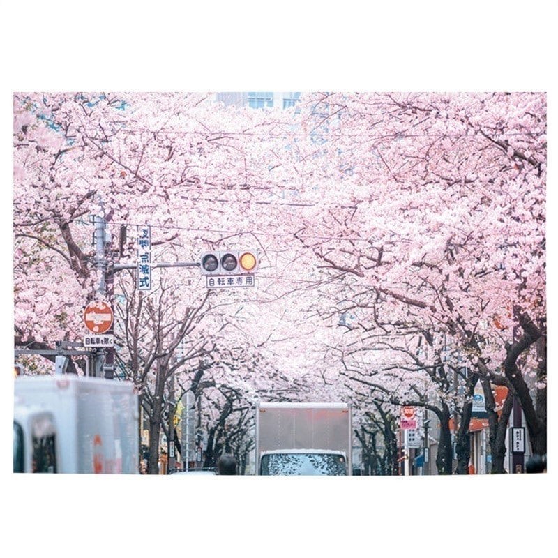 大人気！ タペストリー 韓国 北欧 大判 おしゃれ 夕焼け 美しい桜 花見 日の出 青い空と海 ビーチ 壁掛け インテリア雑貨