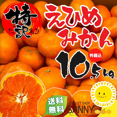 【2,222円】特に訳あり 愛媛みかん 箱込10.5kg