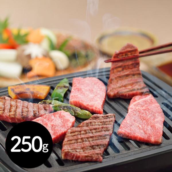 岐阜 ＪＡひだ 飛騨牛もも焼肉用 250g SISK