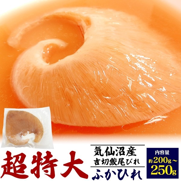 クール便 冷凍お届け ふかひれ 尾びれ 250g 超特大 かけダレ付き