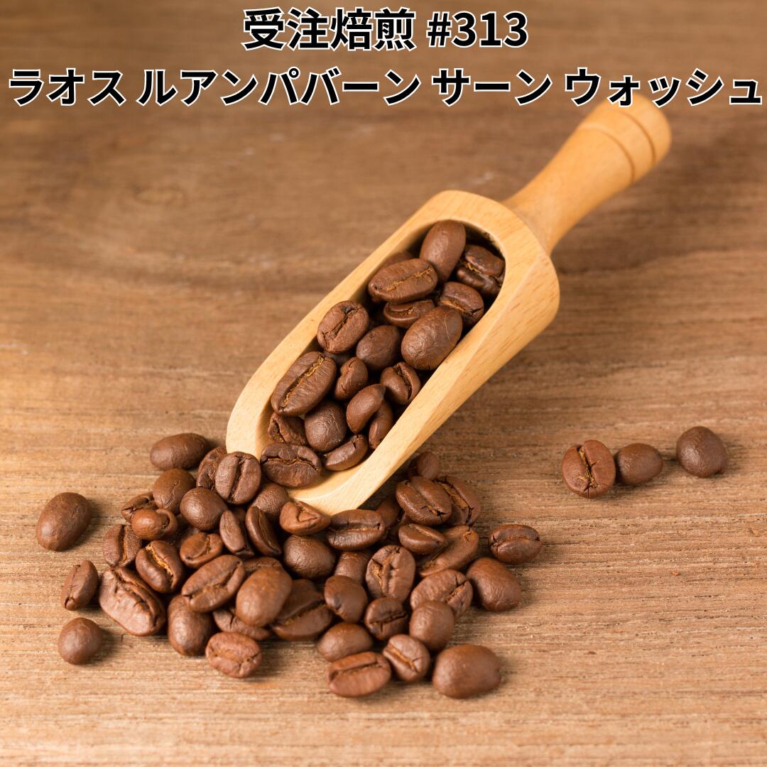 受注焙煎 2kg コーヒー豆 ラオス ルアンパバーン サーン ウォッシュ スぺシャルティコーヒー 珈琲