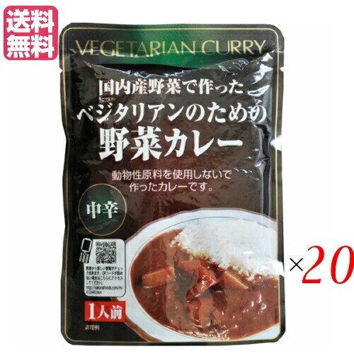 カレー ベジタリアン ビーガン ベジタリアンのための野菜カレー 200g 中辛 20個セット
