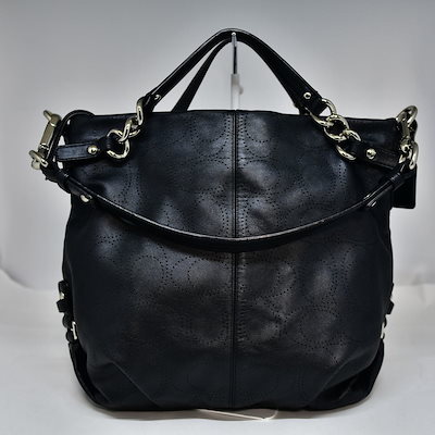 蝶の標本　ムカシヒカゲ　「3頭」 蝶の標本 ムカシヒカゲ 「3頭」