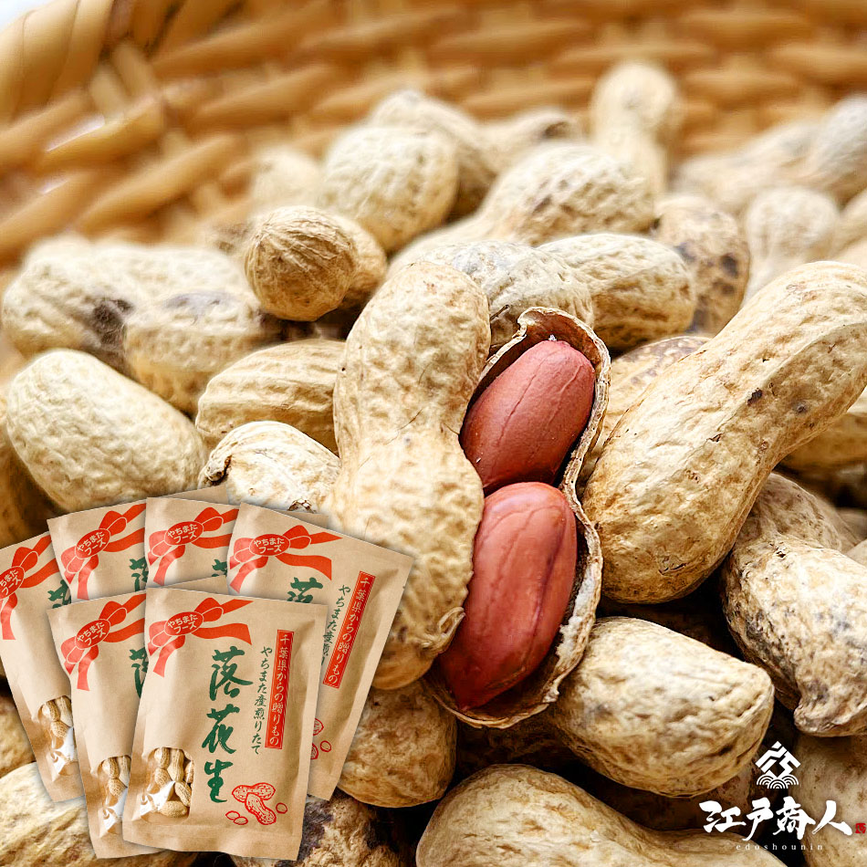 千葉県やちまた産 からつき落花生 高級感あるクラフト袋入 中手豊品種 120g6袋 ナッツ ピーナッツ おつまみ お取り寄せ プレゼント お持たせ お土産 酒のつまみ 父の日