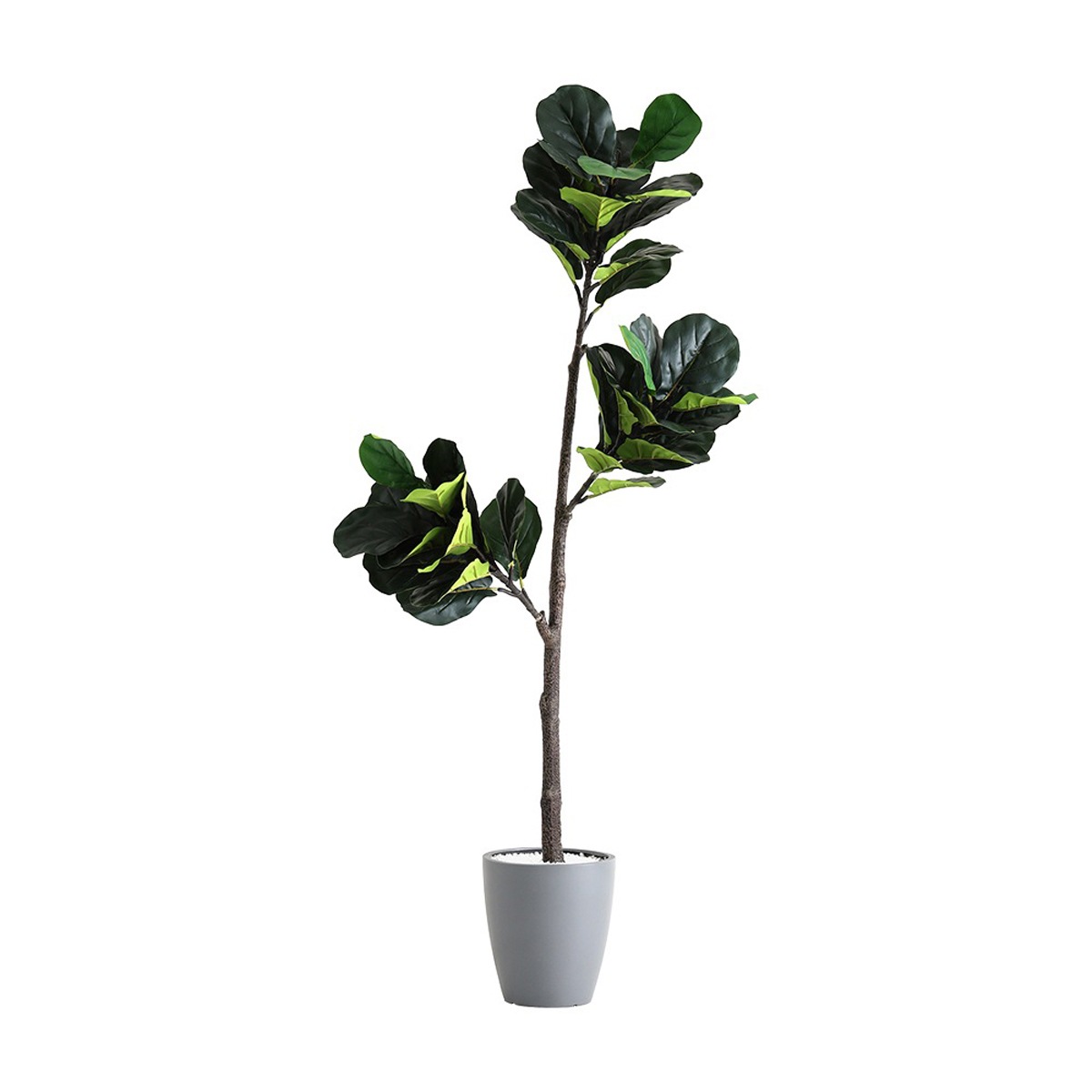 お手入れ簡単フェイクグリーン フィカス・リラータ　Lサイズ 180cm 人工観葉植物 おしゃれ インテリア 16,357円