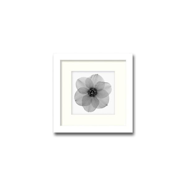 ファブリックパネル アートフレーム 飾り 花 優雅 きれい 壁掛け ウォールデコレーション 幻想的 植物 レントゲン 近代アート 350x350mm